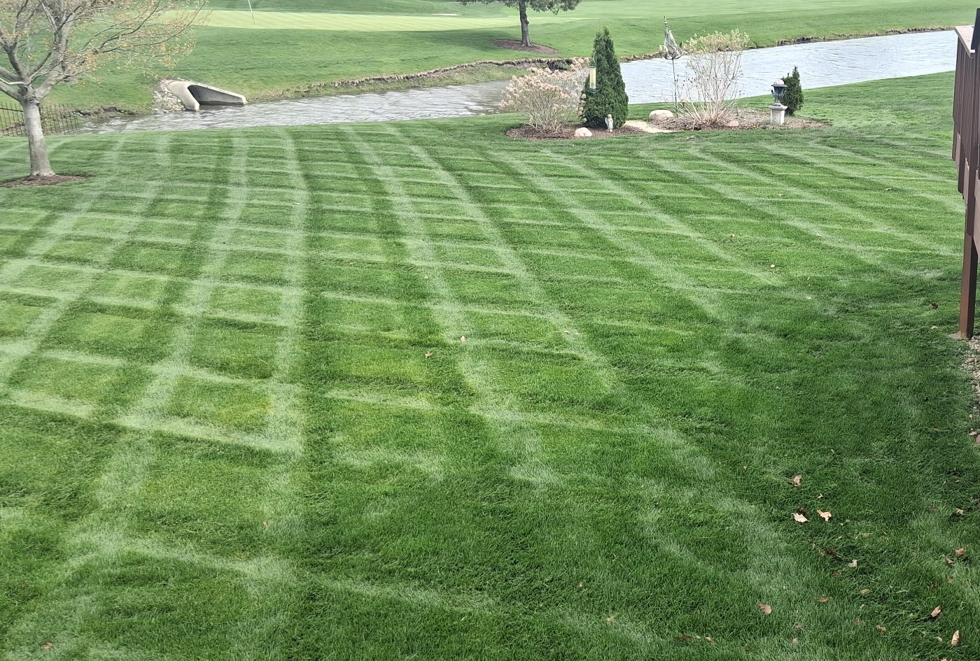 Back lawn with mowing stripes, St. Charles, IL — B&L Landscape lawn maintenance